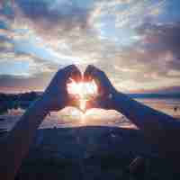 快‍速‌seo教‍程‍技‌术​